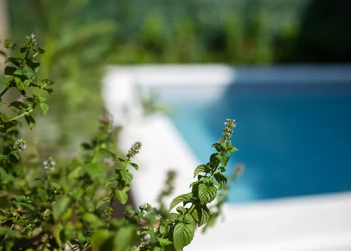 شقة Mar كوسترينا