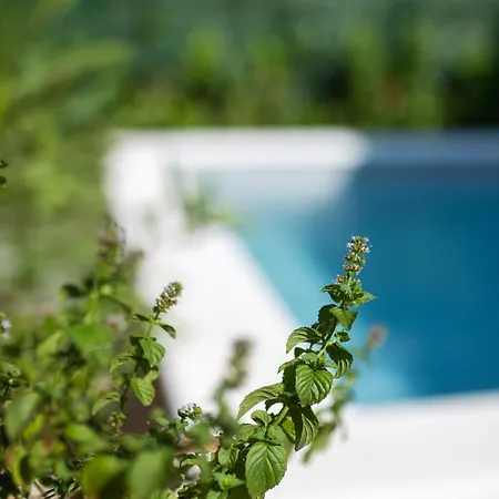 Apartman Mar Kostrena